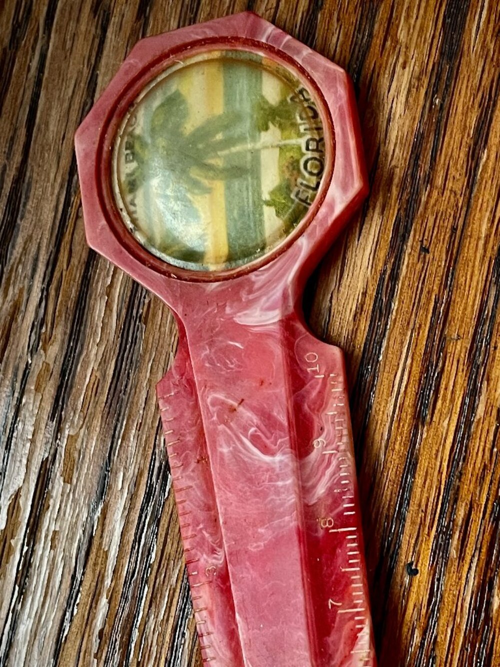Vintage Miami Souvenir